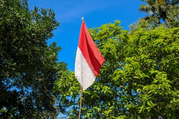 stock image indonesian flag in nature background