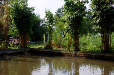 Asya parkındaki güzel nehir manzarası  