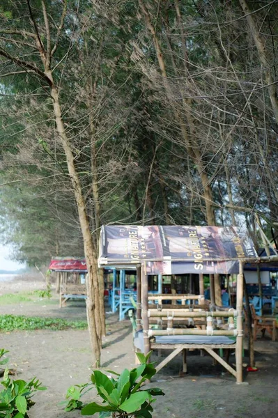 Drewniane Altany Pod Zielonymi Drzewami Plaży — Zdjęcie stockowe