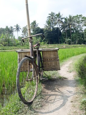 Parktaki bir grup insan.