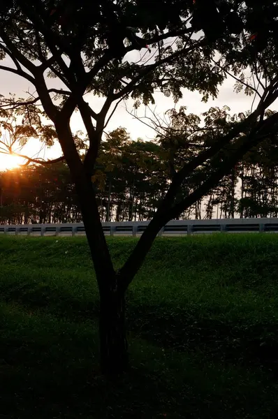 Belo Pôr Sol Parque — Fotografia de Stock