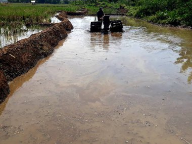 Ormandaki eski ahşap ev