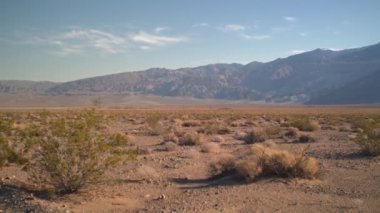 Çölde uzanan uzun, boş bir yol.