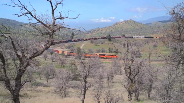 Majestic Locomotive Barreling Tracks — Vídeo de Stock