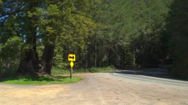 Yavaş hareket eden bir ormanın büyüleyici sükunetine teslim olun. Her hışırtı ve salınım sizi dinginlik ve gençleşme diyarına götürür ve sizi yaşamın özüne yeniden bağlar.