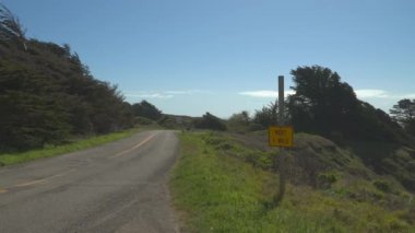 Coastal Drives: Asfalt Yollarında Neşeli Bir Macera