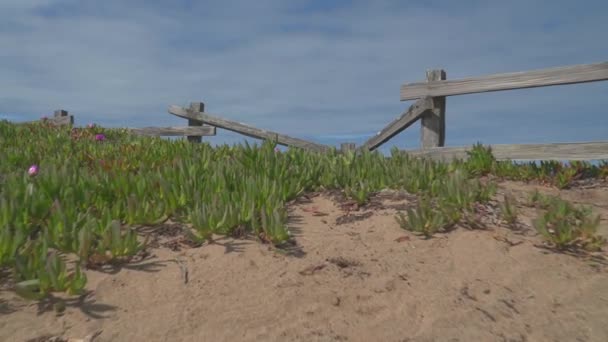 Сдайся Очарованию Замедленного Океанского Пляжа — стоковое видео