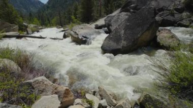 Nature's Dynamic Marvel: This stunning stock video captures the majestic allure of a mountain river in full flow, basking in the warm glow of a sunny day