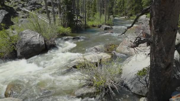 Refreshing Nature Bounty Our Exquisite Stock Footage Showcases Mountain River — Video Stock