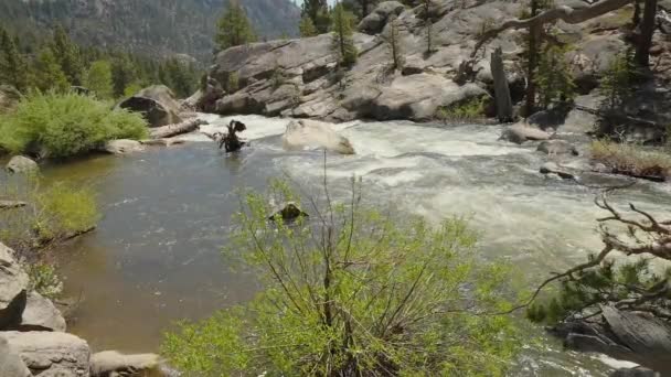 Riverside Serenity Our High Quality Stock Footage Showcases Mountain River — Video Stock