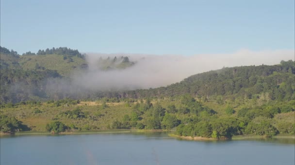 Foggy Lake Reflections Tauchen Sie Ein Das Friedliche Ambiente Eines — Stockvideo