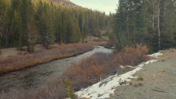 Річка Гірському Лісі — стокове відео