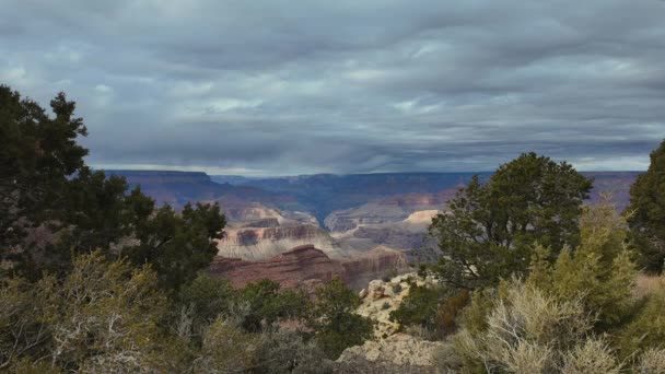Grand Canyon National Park Stati Uniti — Video Stock