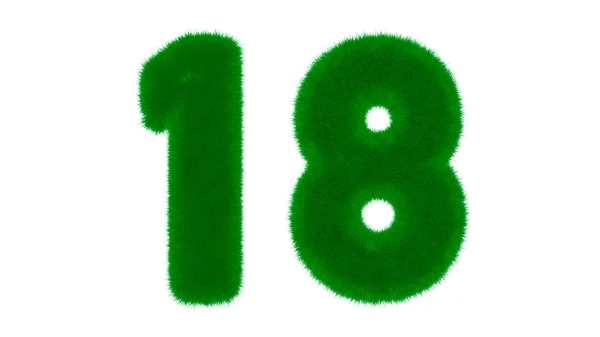Nummer Från Naturligt Grönt Typsnitt Form Gräs Isolerad Vit Bakgrund — Stockfoto