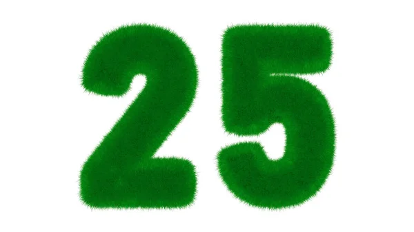 25号由天然绿色字体组成 在孤立的白色背景上呈草状 3D渲染说明 — 图库照片