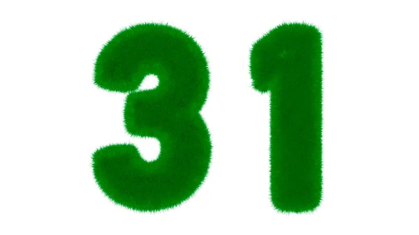 第31号由天然绿色字体组成 在孤立的白色背景上呈青草状 3D渲染说明 — 图库照片