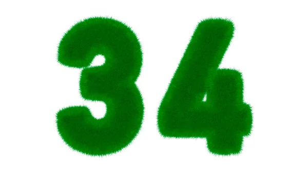 34号由天然绿色字体组成 在孤立的白色背景上呈草状 3D渲染说明 — 图库照片