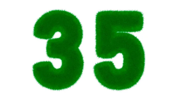 35号由天然绿色字体组成 在孤立的白色背景上呈草状 3D渲染说明 — 图库照片