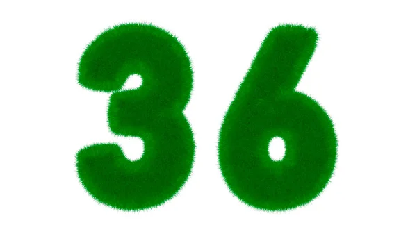 草の形をした天然の緑のフォントからの番号36は 孤立した白い背景にあります 3Dレンダリング図 — ストック写真