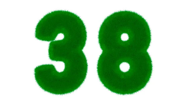 38号由天然绿色字体组成 在孤立的白色背景上呈草状 3D渲染说明 — 图库照片