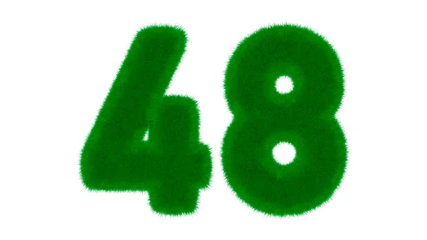 48号由天然绿色字体组成 在孤立的白色背景上呈草状 3D渲染说明 — 图库照片
