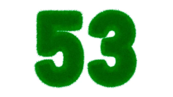 编号53从天然绿色字体形式的青草在孤立的白色背景 3D渲染说明 — 图库照片