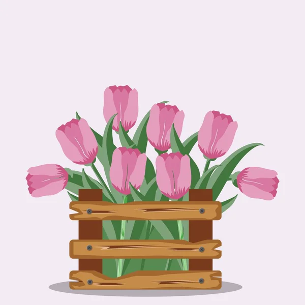 Holzschachtel Mit Frühlingsblumen Auf Weißem Hintergrund Rosa Tulpen Blätter Aquarellillustration — Stockvektor