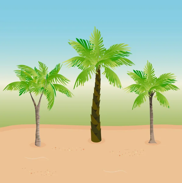 Kumda Tropikal Palmiye Ağaçları Vektör Illüstrasyonu — Stok Vektör