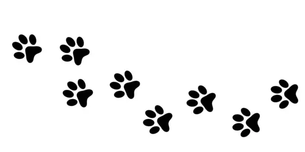 Dog Paws Animal Paw Prints Vector Different Animals Footprints Black — Stock Vector