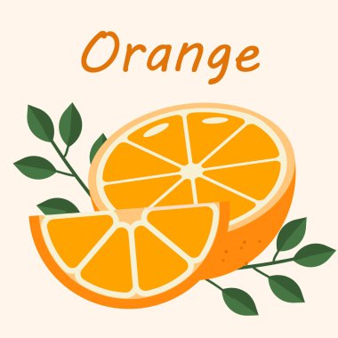 Yaprakları ve dalları olan modern portakallar. Modern botanik sanat baskısı. Bir dizi turunçgil tropikal meyvesi. Davetiyeler, posterler, kartlar, afişler için yaz vektör tasarımı.