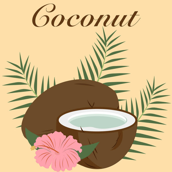 Coconut. Summer design for background, banner, wallpaper, poster. Vector design of coconut drinks, coconut trees, island perfect for t-shirts, logos, sticker, etc