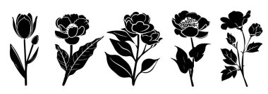 Çiçekler, bitkiler silueti izole etti. Çeşitli çiçek koleksiyonu, amber çiçeği, orkide, papatya, karahindiba, kenevir, gül, krokus, siyah vektör grafiği. Vahşi çiçek silueti seti.