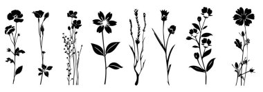 Çiçekler, bitkiler silueti izole etti. Çeşitli çiçek koleksiyonu, amber çiçeği, orkide, papatya, karahindiba, kenevir, gül, krokus, siyah vektör grafiği. Vahşi çiçek silueti seti.