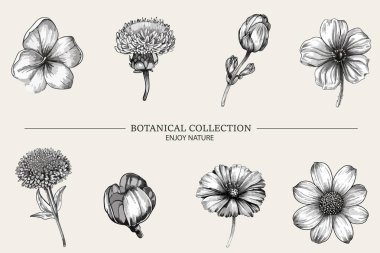 Farklı dallar, çiçekler fotokopi, noktalama etkisi elementleri. Poster tasarımı, kapaklar, tişörtler, web tasarımı, kolajlar için grunge gürültü dokusuna sahip Y2K ögeleri koleksiyonu.