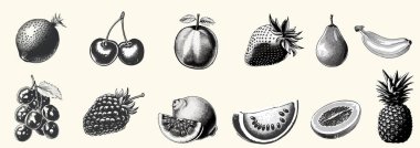 Grunge punk y2k kolaj tasarımı için yaz meyvelerini eski fotokopi noktalama efektiyle ayarla. Sancak ya da poster için klasik yarım ton barbar tasarımı vektör illüstrasyonu