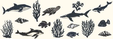 Okyanus hayvanı seti, vektör grunge balina izi, vahşi deniz memelisi silueti, tahta kesim damgası. Yaz deniz antika koleksiyonu, el yapımı sualtı köpekbalığı, mercan, vatoz. Okyanus hayvanı çizimi