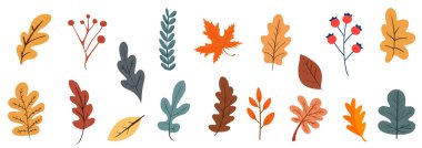 Güzel Renkli Sonbahar Yaprakları ve Dalları. Mevsimsel Tasarımlar için Vektör İllüstrasyonu Ayarları