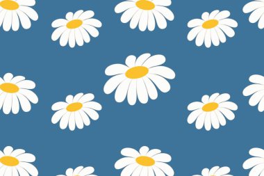 Beyaz papatya çiçekleriyle kusursuz çiçek deseni ve mavi arka planda sarı merkezler. Paket kağıdı, duvar kağıdı, tekstil, poster arkaplanı vs. için tasarım.
