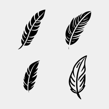 Bir çift siyah tüy. Siyah tüy koleksiyonu