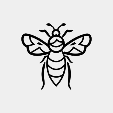 Bal arısı eli çizilmiş vektör vintage çizimleri.