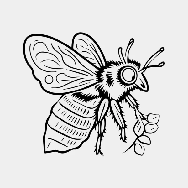 Медовая Пчела Ручной Рисунок Векторного Винтажного Стиля Иллюстрации — стоковый вектор