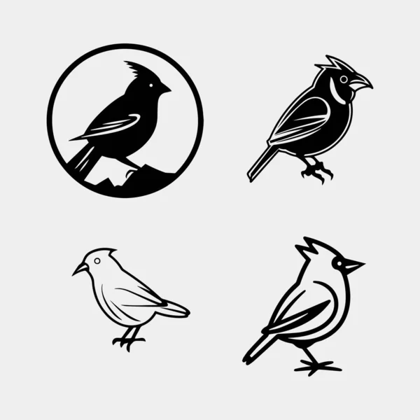 Ensemble Vectoriel Oiseaux Isolés Sur Fond Blanc — Image vectorielle