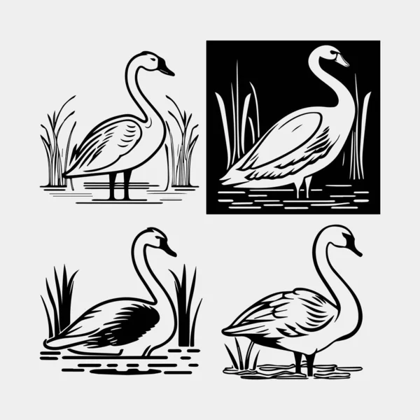 Set Black Silhouette Swan Largest Flying Bird Swim Water Cartoon — Stock Vector