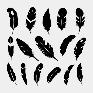 Beyaz üzerine izole edilmiş tüy vektör dizaynı