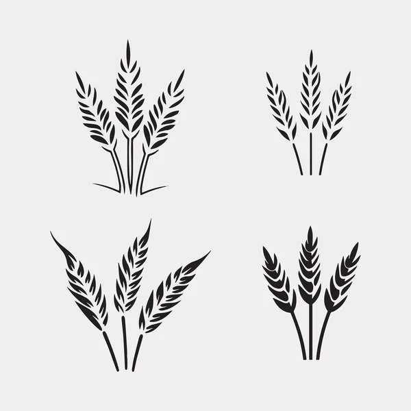 Набір Житнього Пшеничного Векторного Дизайну — стоковий вектор