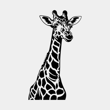 Beyaz arkaplan vektör illüstrasyonunda zürafa silueti