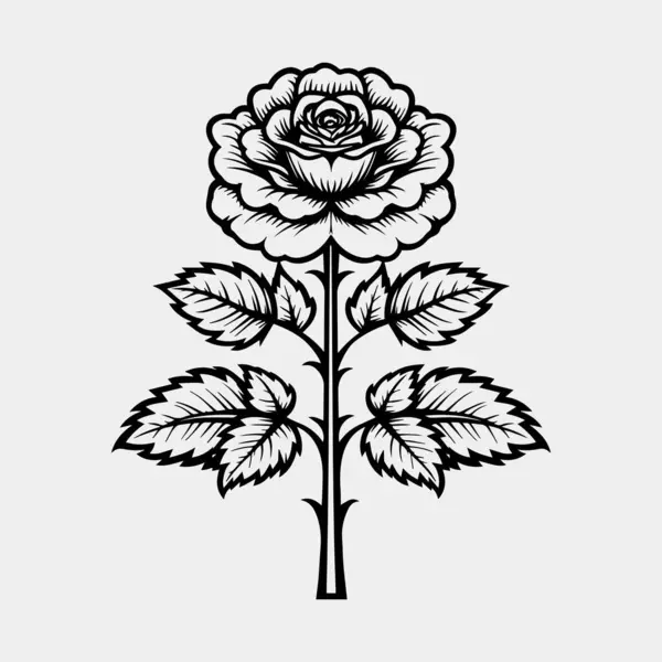 Gül çiçeği. El çizimi çizimi çizimi. vektör.
