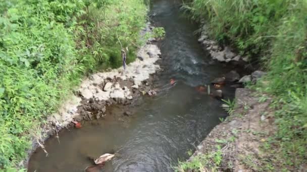 Sungai Kecil Dengan Air Mengalir Baik Untuk Terapi — Stok Video