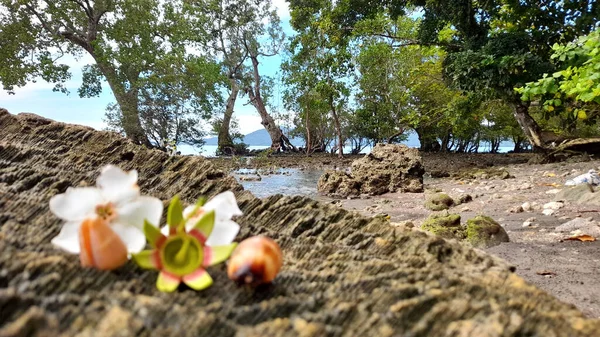 Цветы Скале Тало — стоковое фото