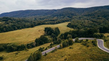 Güzel bir dağ manzarası. Bieszczady Dağları, Polonya.